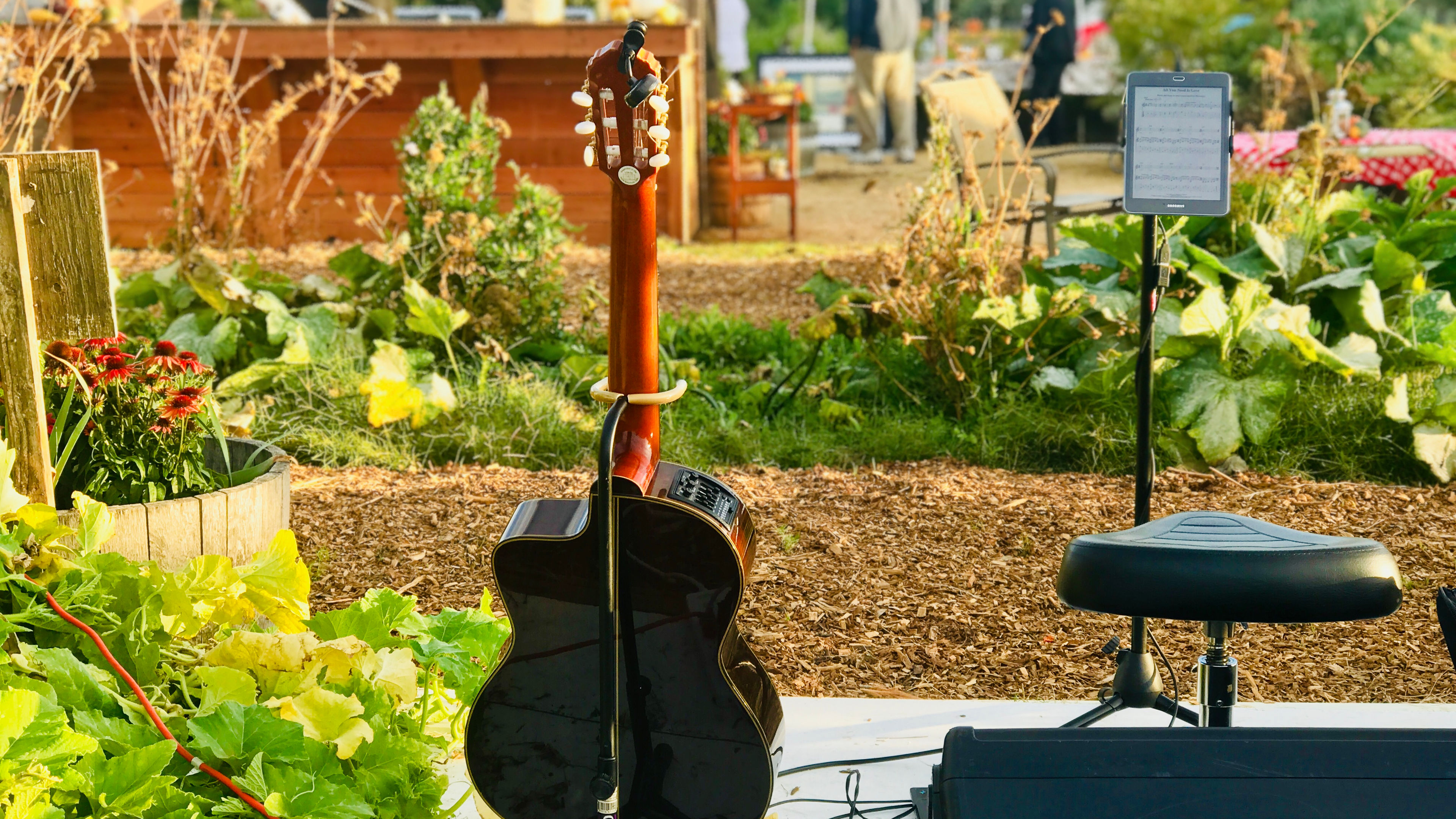 Solo Guitar